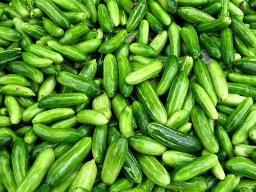 Tindora Ivy Gourd 500g