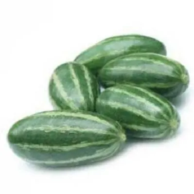 Świeża tykwa spiczasta Parwal Pointed Gourd 1kg