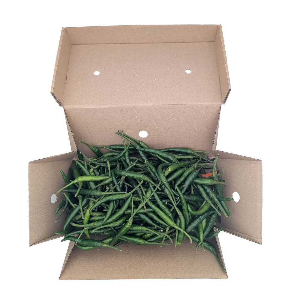 Świeże zielone papryczki chilli Fresh Green Chilli Eco Premium 750g