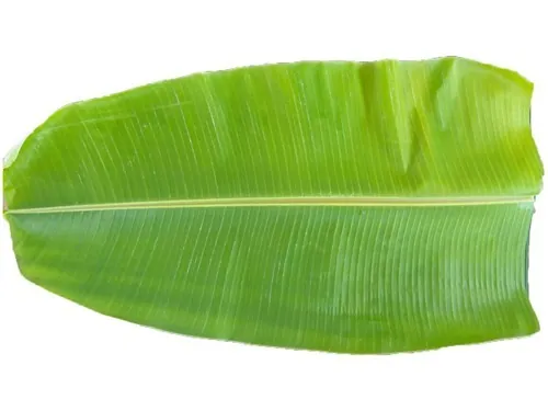 Banana Leaf 1kg