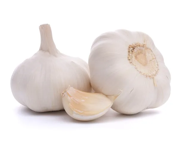 Fresh Garlic 500g