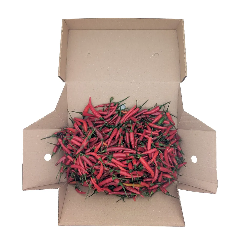 Świeże czerwone papryczki chilli Fresh Red Chilli Eco Premium 750g