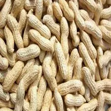 Orzechy ziemne Fresh Peanuts 250g