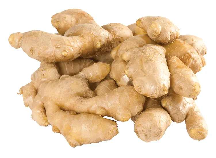 Ginger Fresh Adrak 13kg