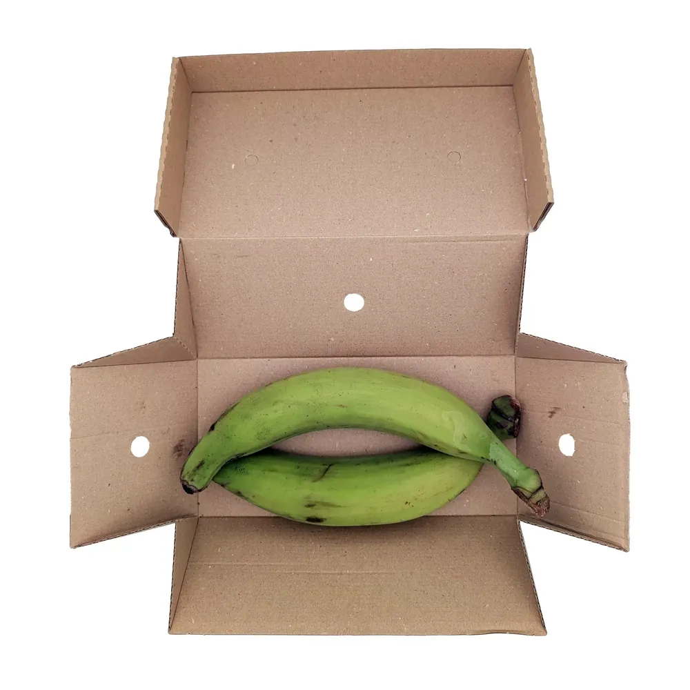 Świeże zielone plantany Fresh Green Plantains Eco Premium 1kg
