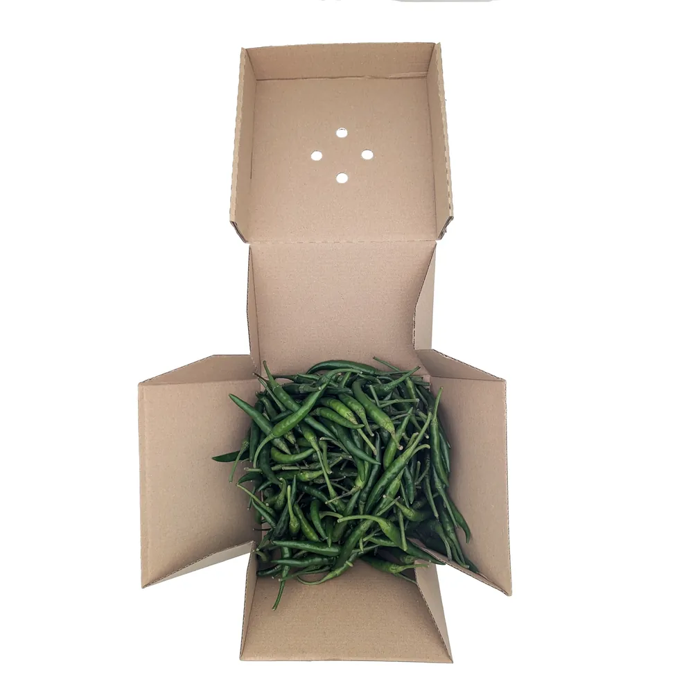 Świeże zielone papryczki chilli Fresh Green Chilli Eco Premium 500g