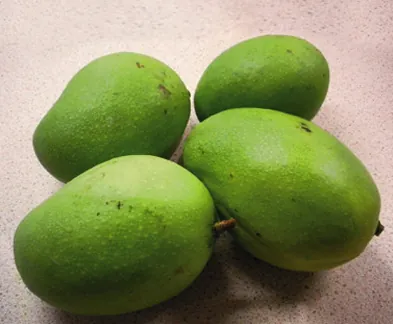 Green Mango 500g