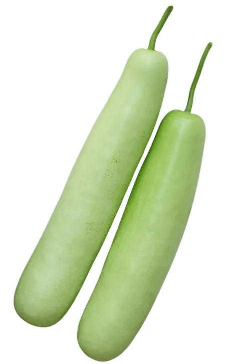 Tykwa butelkowa Lauki Kodu Bottle Gourd 1kg