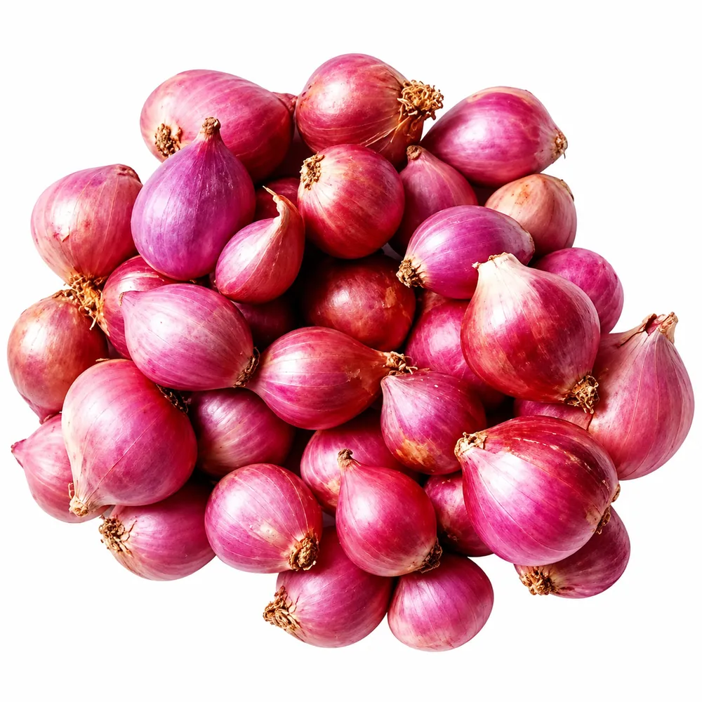 Świeża cebula szalotka Small Onion Shallot 250g